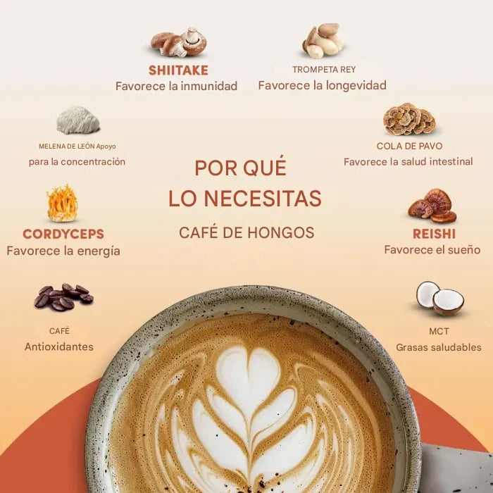 Ryze: Café Funcional con Hongos Adaptógenos 🌻 Energía y Foco Natural